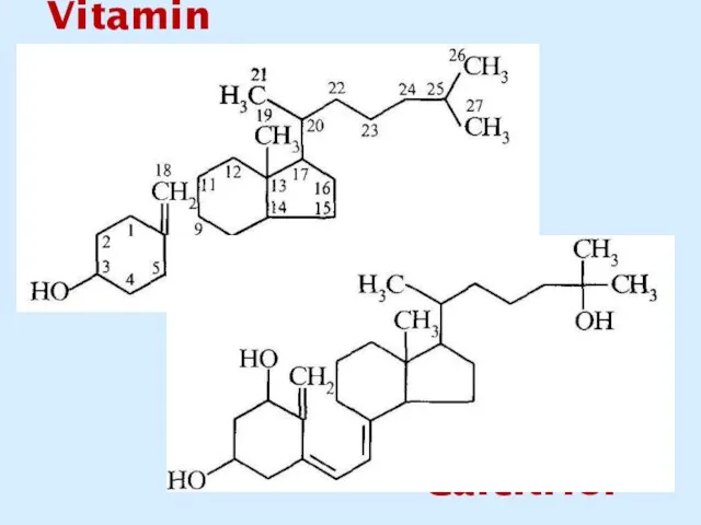 Vitamin D3 Calcitriol