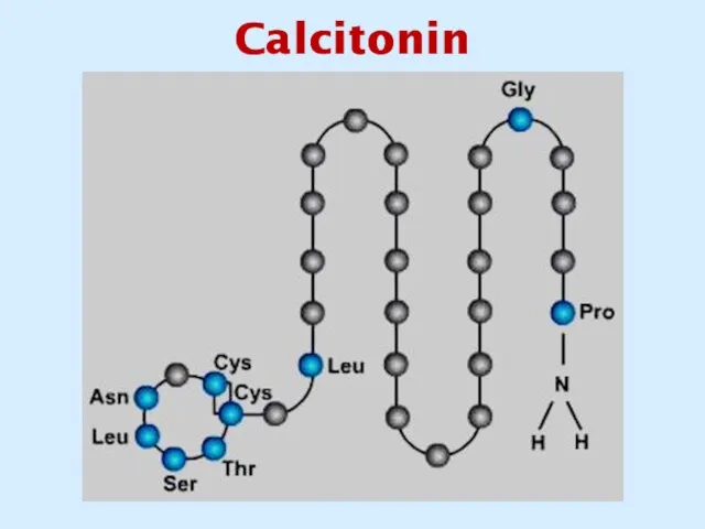 Calcitonin