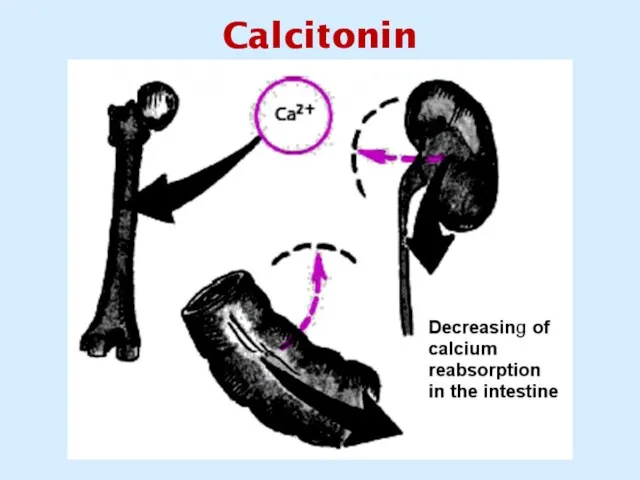 Calcitonin