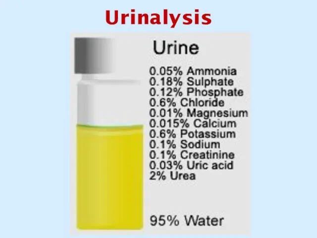 Urinalysis