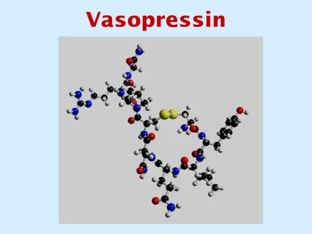 Vasopressin