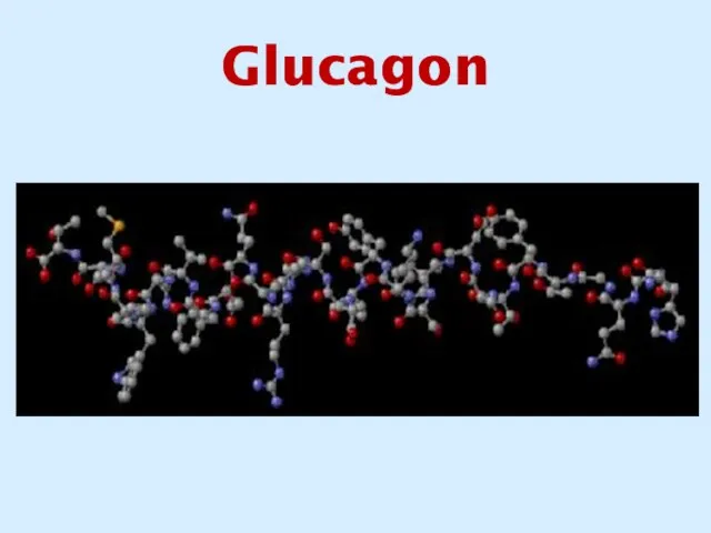 Glucagon