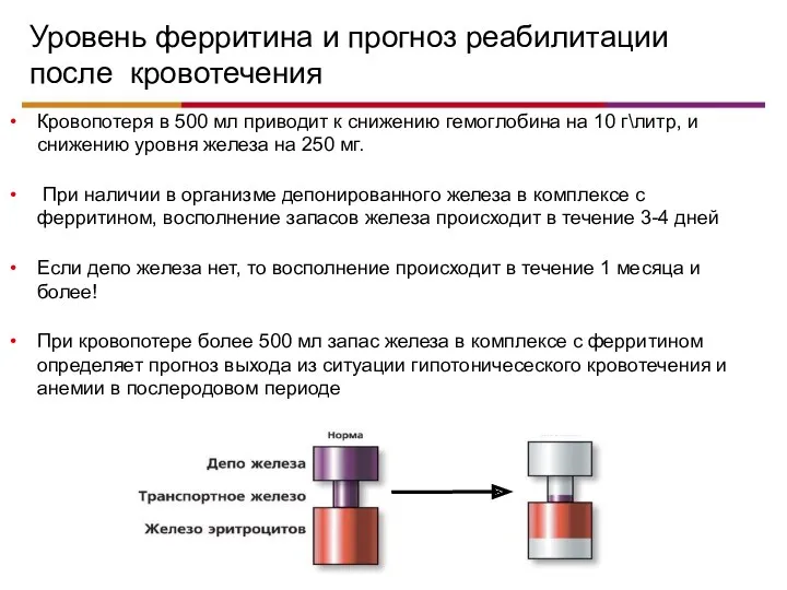 Уровень ферритина и прогноз реабилитации после кровотечения Кровопотеря в 500 мл приводит к