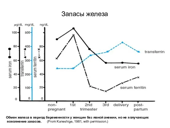 Запасы железа Обмен железа в период беременности у женщин без явной анемии, но