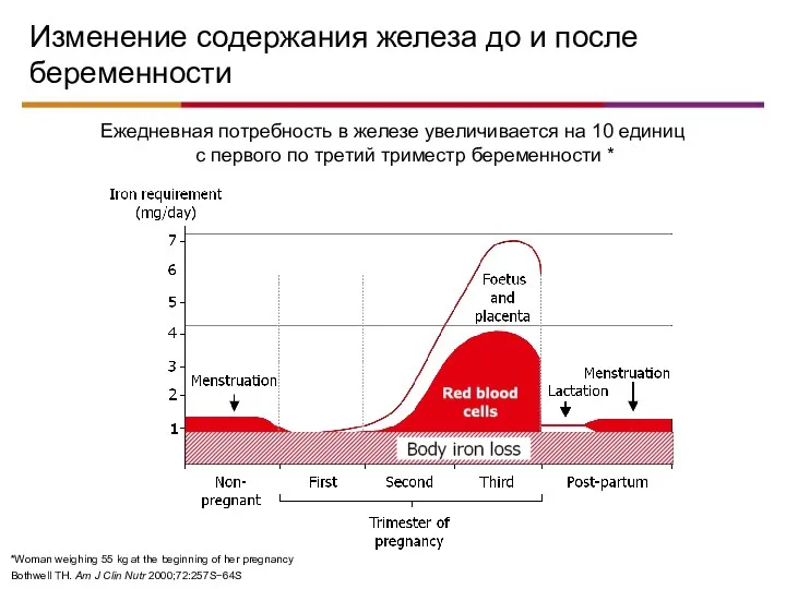 Ежедневная потребность в железе увеличивается на 10 единиц с первого