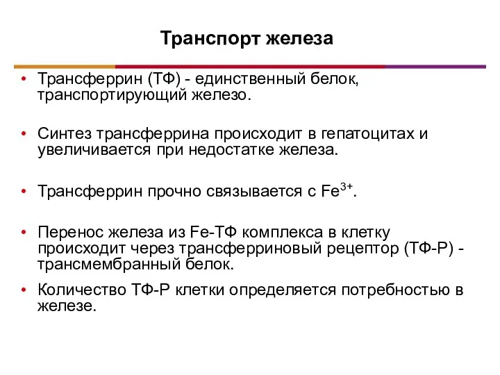 Трансферрин (ТФ) - единственный белок, транспортирующий железо. Синтез трансферрина происходит в гепатоцитах и