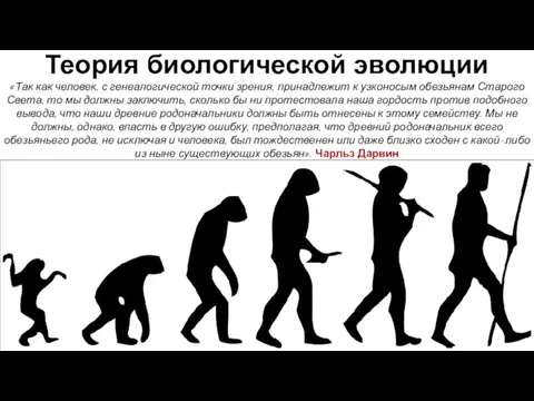 «Так как человек, с генеалогической точки зрения, принадлежит к узконосым