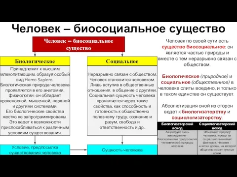 Человек по своей сути есть существо биосоциальное: он является частью