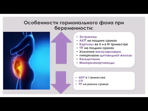 Особенности гормонального фона при беременности: Эстрогены АКТГ на поздних сроках