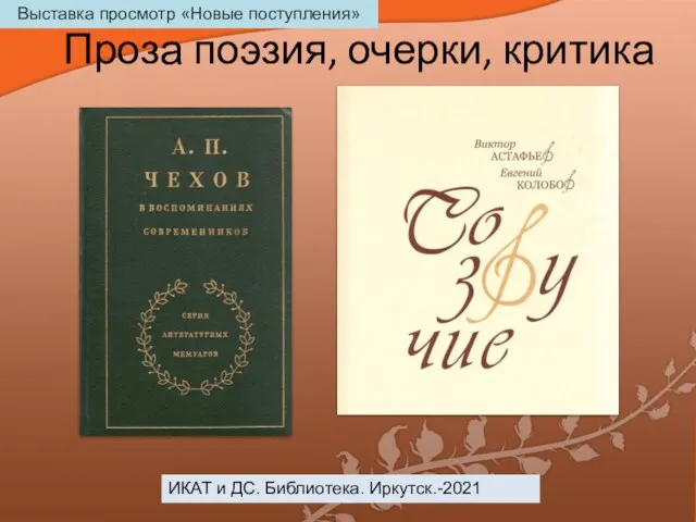 Проза поэзия, очерки, критика ИКАТ и ДС. Библиотека. Иркутск.-2021 Выставка просмотр «Новые поступления»