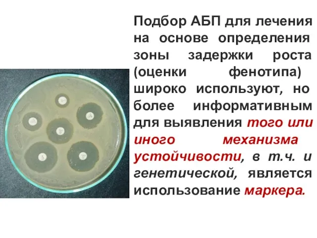 Подбор АБП для лечения на основе определения зоны задержки роста