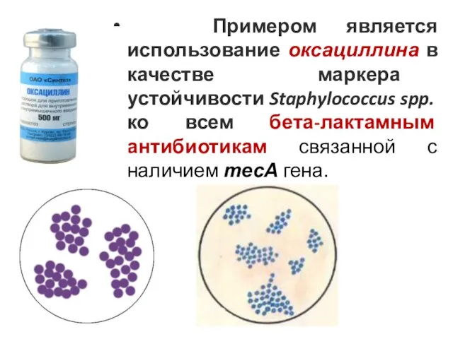 Примером является использование оксациллина в качестве маркера устойчивости Staphylococcus spp.