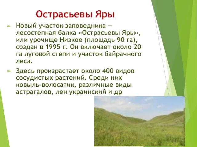 Острасьевы Яры Новый участок заповедника — лесостепная балка «Острасьевы Яры»,