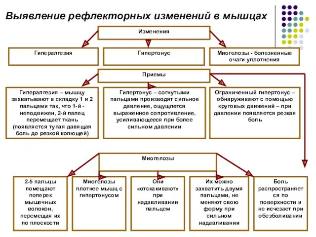 Выявление рефлекторных изменений в мышцах Изменения Гипералгезия Гипертонус Миогелозы -