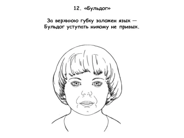 12. «Бульдог» За верхнюю губку заложен язык — Бульдог уступать никому не привык.