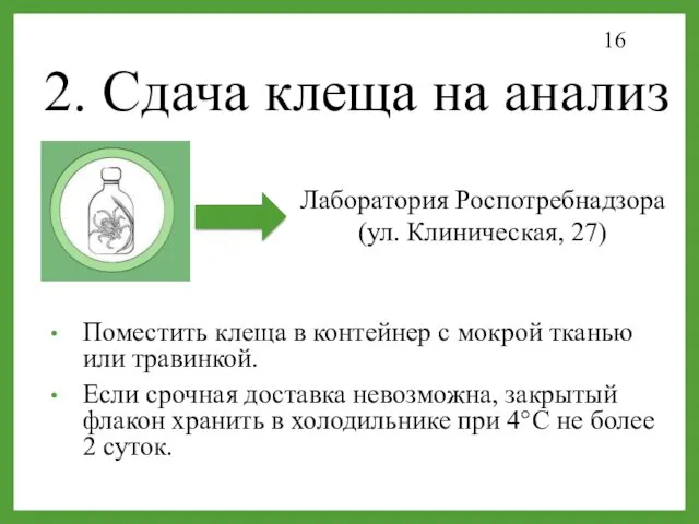 2. Сдача клеща на анализ Поместить клеща в контейнер с