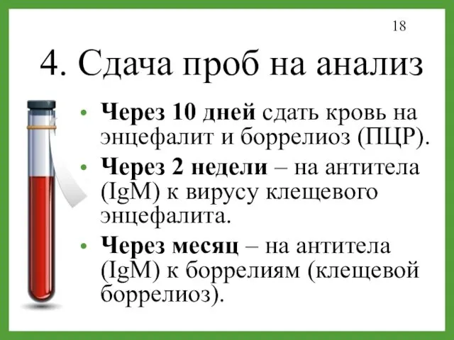 4. Сдача проб на анализ Через 10 дней сдать кровь