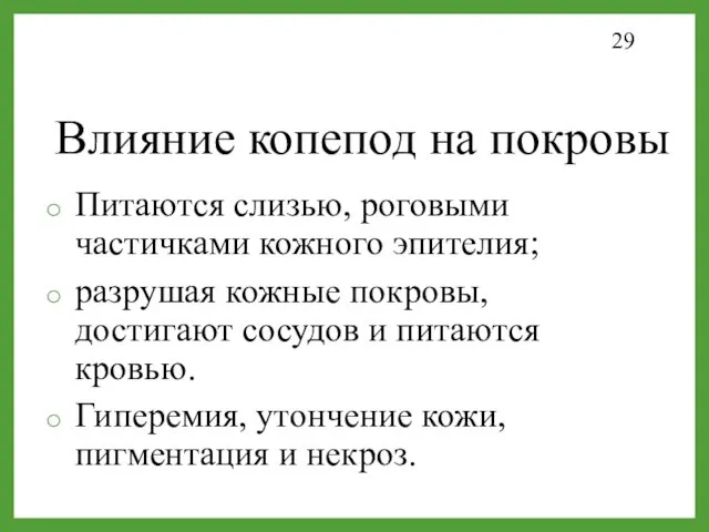 Влияние копепод на покровы Питаются слизью, роговыми частичками кожного эпителия;