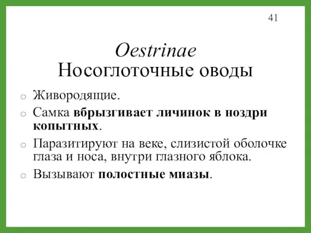 Oestrinae Носоглоточные оводы Живородящие. Самка вбрызгивает личинок в ноздри копытных.