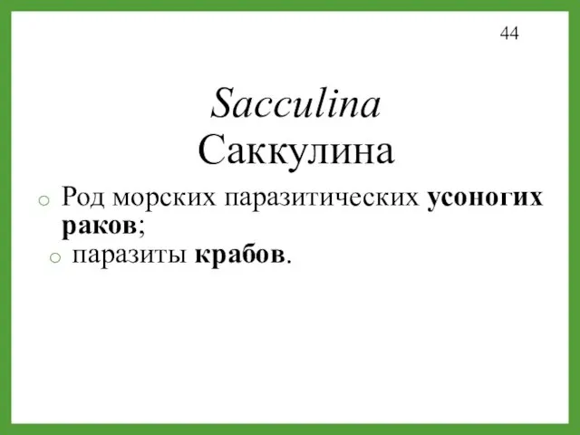 Sacculina Саккулина Род морских паразитических усоногих раков; паразиты крабов.