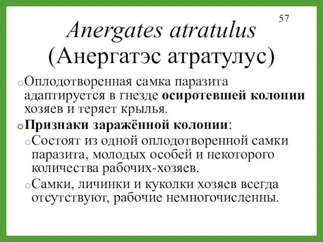 Оплодотворенная самка паразита адаптируется в гнезде осиротевшей колонии хозяев и