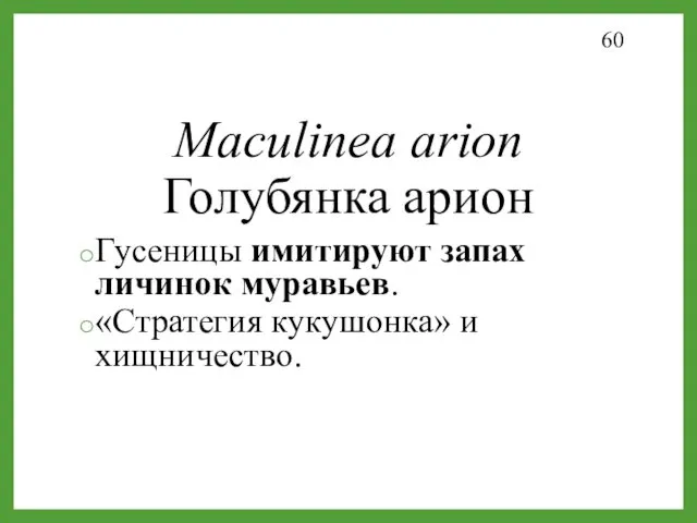 Maculinea arion Голубянка арион Гусеницы имитируют запах личинок муравьев. «Стратегия кукушонка» и хищничество.