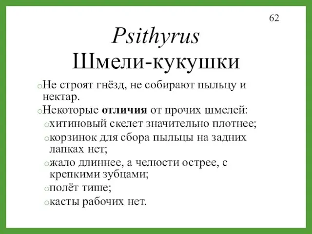 Psithyrus Шмели-кукушки Не строят гнёзд, не собирают пыльцу и нектар.