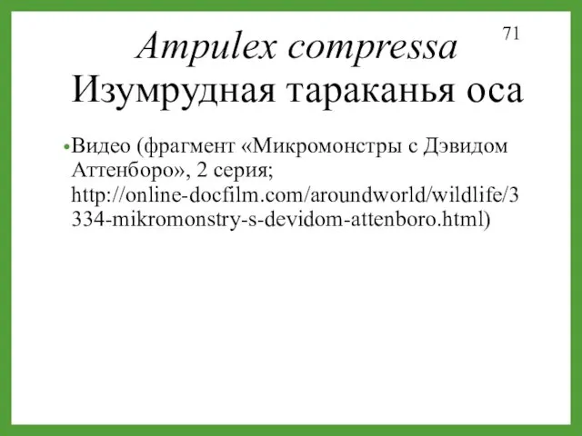 Ampulex compressa Изумрудная тараканья оса КОКОН Видео (фрагмент «Микромонстры с Дэвидом Аттенборо», 2 серия; http://online-docfilm.com/aroundworld/wildlife/3334-mikromonstry-s-devidom-attenboro.html)