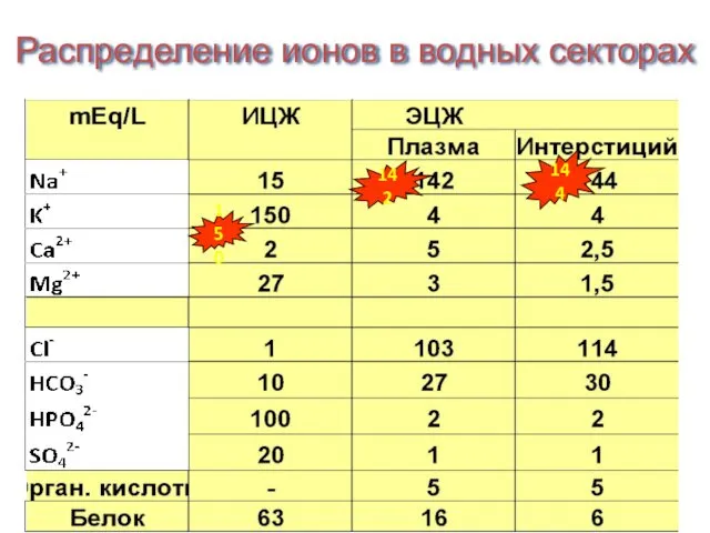 Распределение ионов в водных секторах 142 150 144