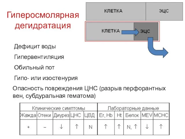 Гиперосмолярная дегидратация Дефицит воды Гипервентиляция Обильный пот Гипо- или изостенурия