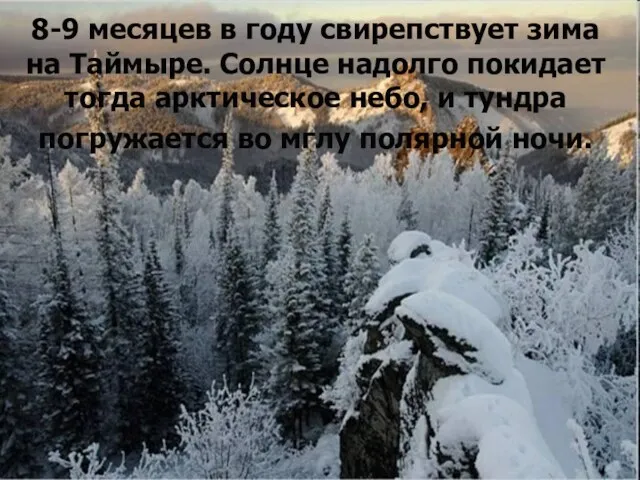 8-9 месяцев в году свирепствует зима на Таймыре. Солнце надолго