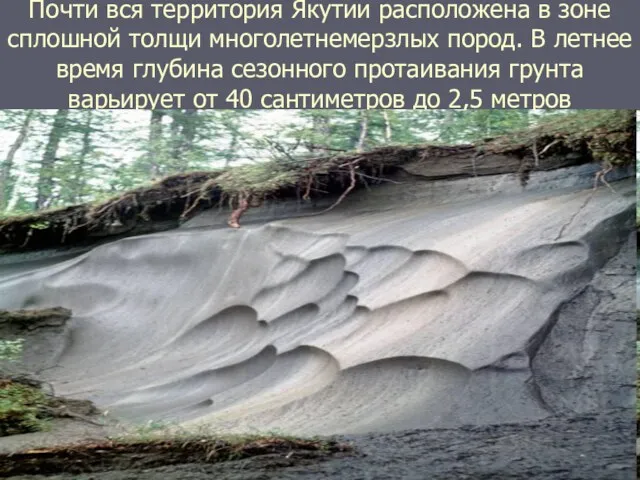 Почти вся территория Якутии расположена в зоне сплошной толщи многолетнемерзлых