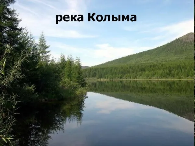 река Колыма