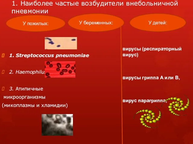 1. Наиболее частые возбудители внебольничной пневмонии 1. Streptococcus pneumoniae 2.