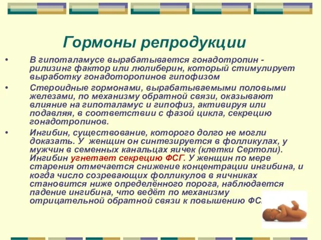 Гормоны репродукции В гипоталамусе вырабатывается гонадотропин - рилизинг фактор или