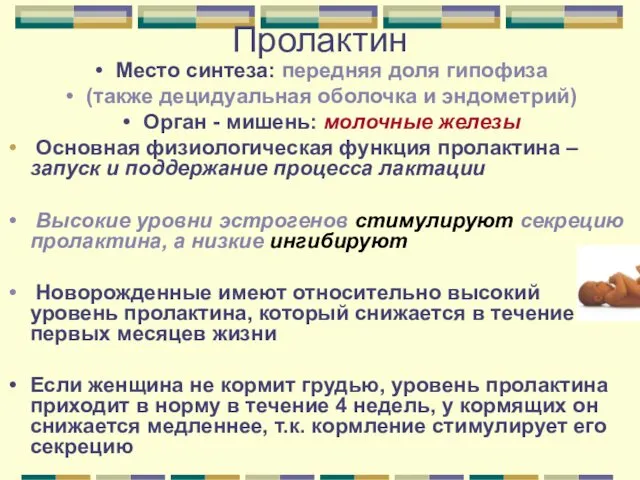 Пролактин Место синтеза: передняя доля гипофиза (также децидуальная оболочка и