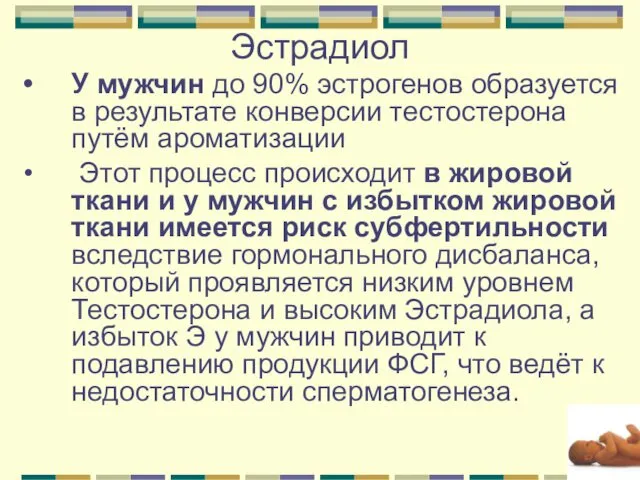 Эстрадиол У мужчин до 90% эстрогенов образуется в результате конверсии