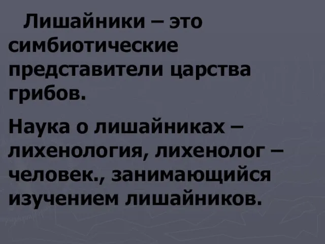 Лишайники – это симбиотические представители царства грибов. Наука о лишайниках