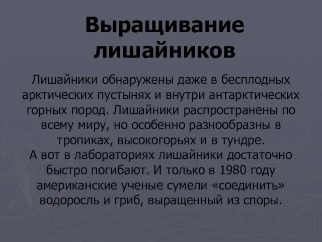 Выращивание лишайников Лишайники обнаружены даже в бесплодных арктических пустынях и