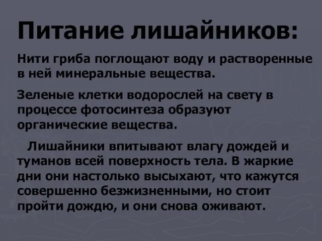 Питание лишайников: Нити гриба поглощают воду и растворенные в ней