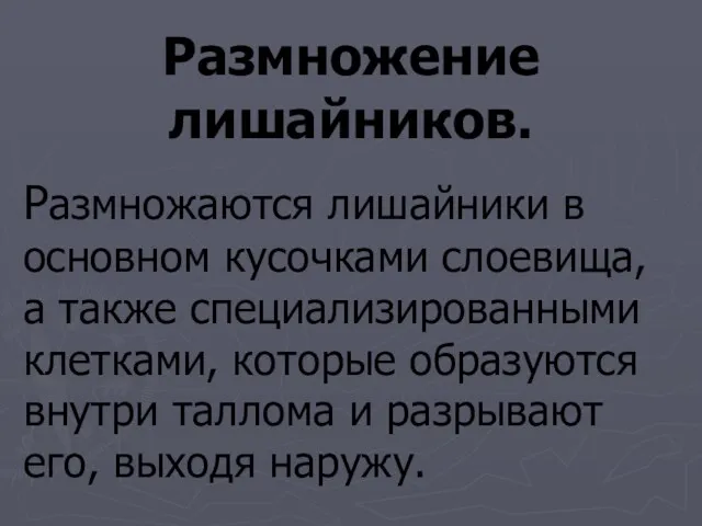 Размножение лишайников. Размножаются лишайники в основном кусочками слоевища, а также