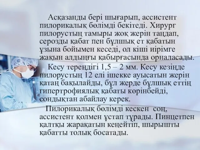 Асқазанды бері шығарып, ассистент пилорикалық бөлімді бекітеді. Хирург пилорустың тамыры