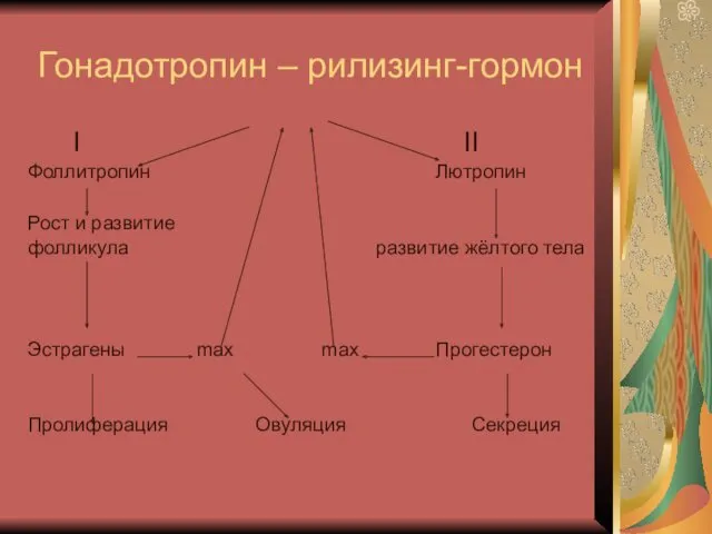 Гонадотропин – рилизинг-гормон I II Фоллитропин Лютропин Рост и развитие