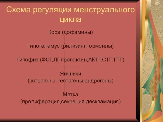 Схема регуляции менструального цикла Кора (дофамины) Гипоталамус (рилизинг гормонлы) Гипофиз (ФСГ,ЛГ,пролактин,АКТГ,СТГ,ТТГ) Яичники (эстрагены, гестагены,андрогены) Матка (пролиферация,секреция,десквамация)