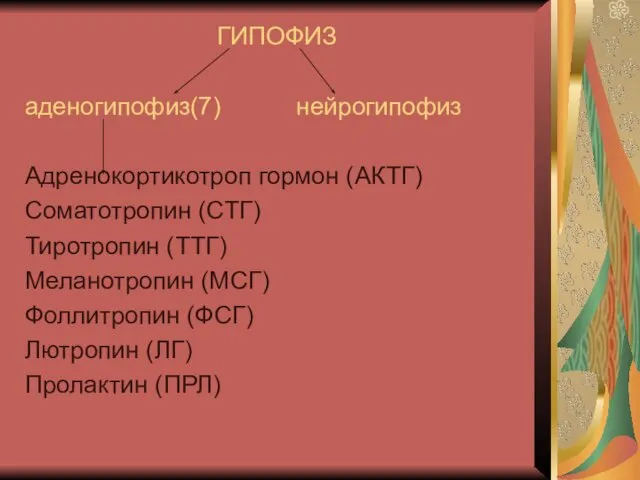 ГИПОФИЗ аденогипофиз(7) нейрогипофиз Адренокортикотроп гормон (АКТГ) Соматотропин (СТГ) Тиротропин (ТТГ)