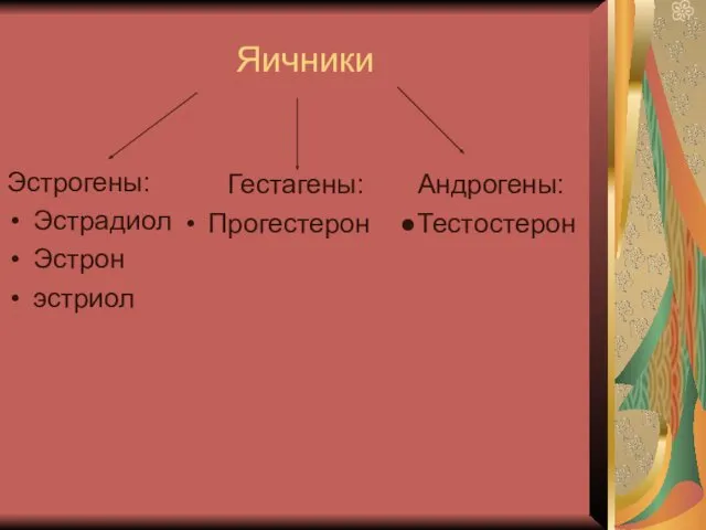 Яичники Эстрогены: Эстрадиол Эстрон эстриол Гестагены: Андрогены: Прогестерон ●Тестостерон