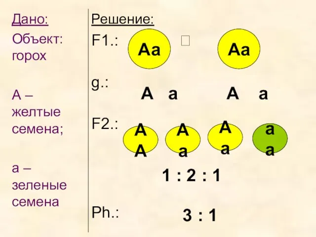 Аа Аа А а А а АА Аа Аа аа 1 : 2