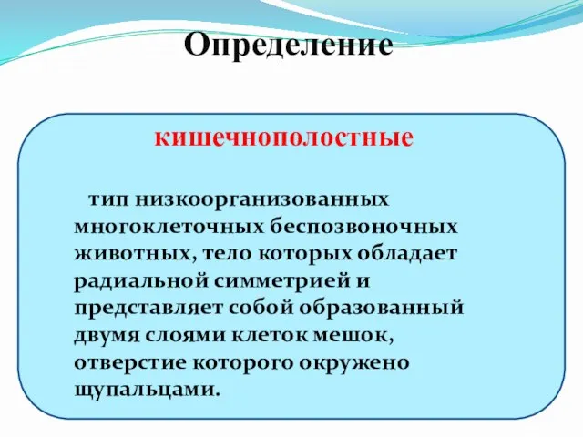 кишечнополостные тип низкоорганизованных многоклеточных беспозвоночных животных, тело которых обладает радиальной