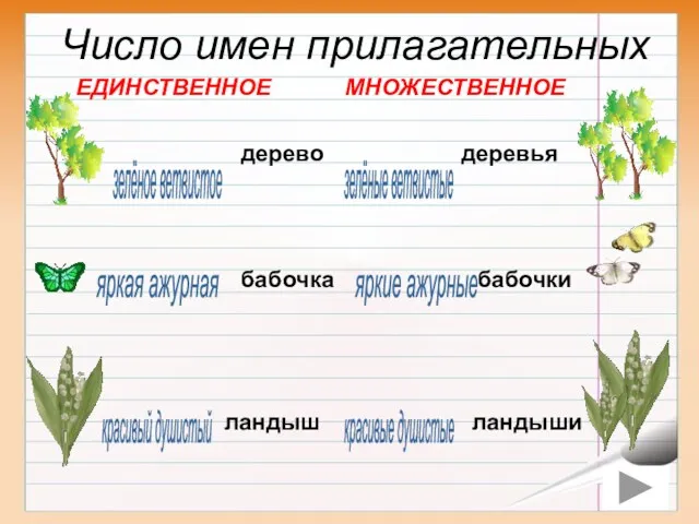 бабочка бабочки яркая ажурная яркие ажурные дерево деревья красивый душистый зелёные ветвистые ландыш