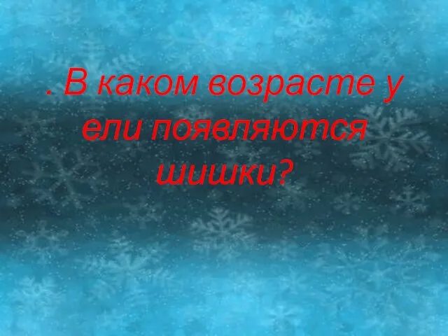 . В каком возрасте у ели появляются шишки?